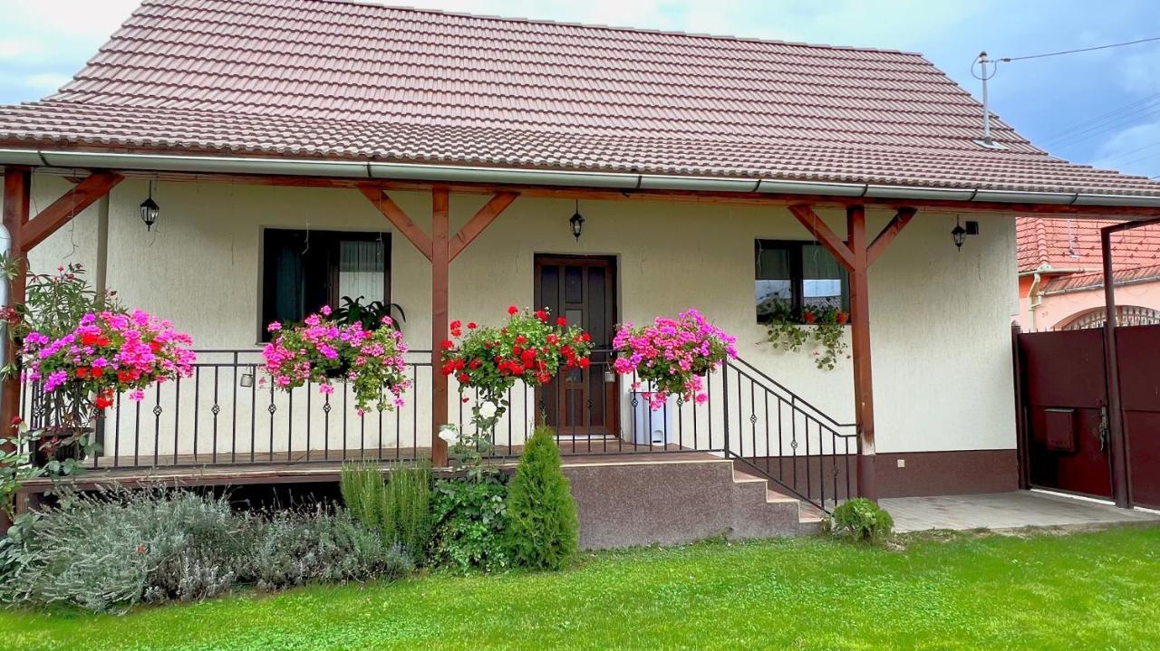 Siebenbuerger Haus Sibiu Exterior foto